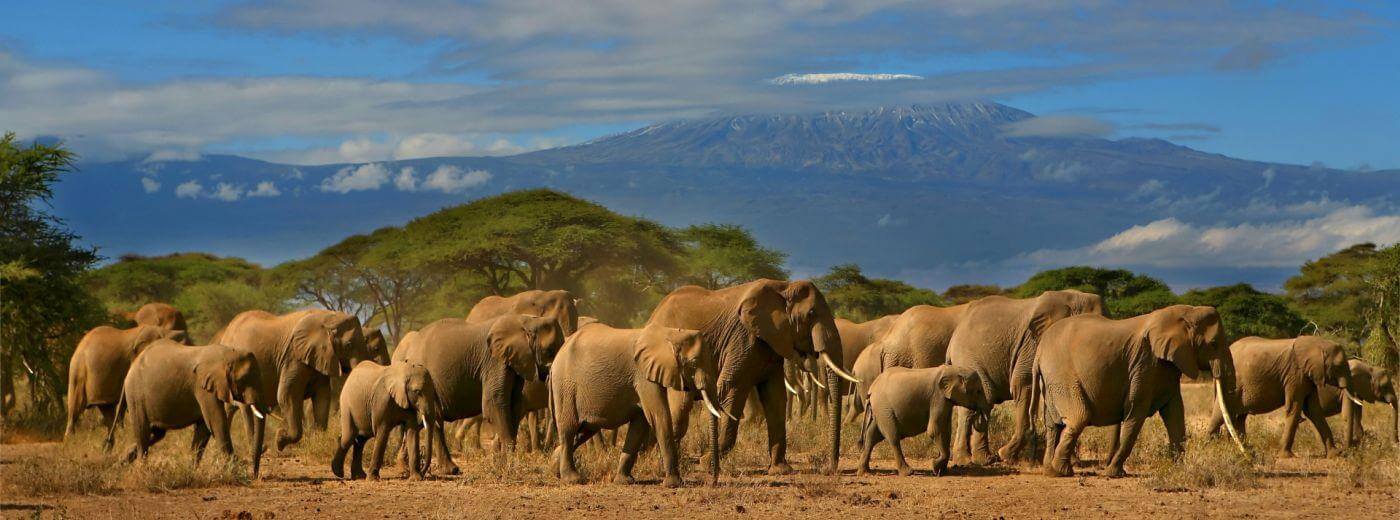 Amboseli