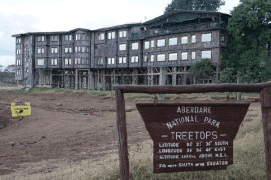 tree-top-hotel